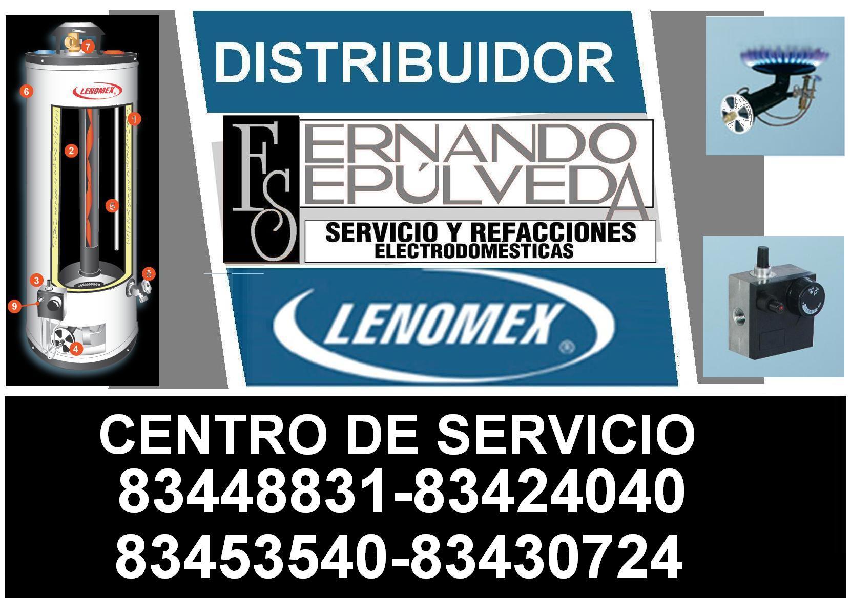 SERVICE LENOMEX BOILER.JPG