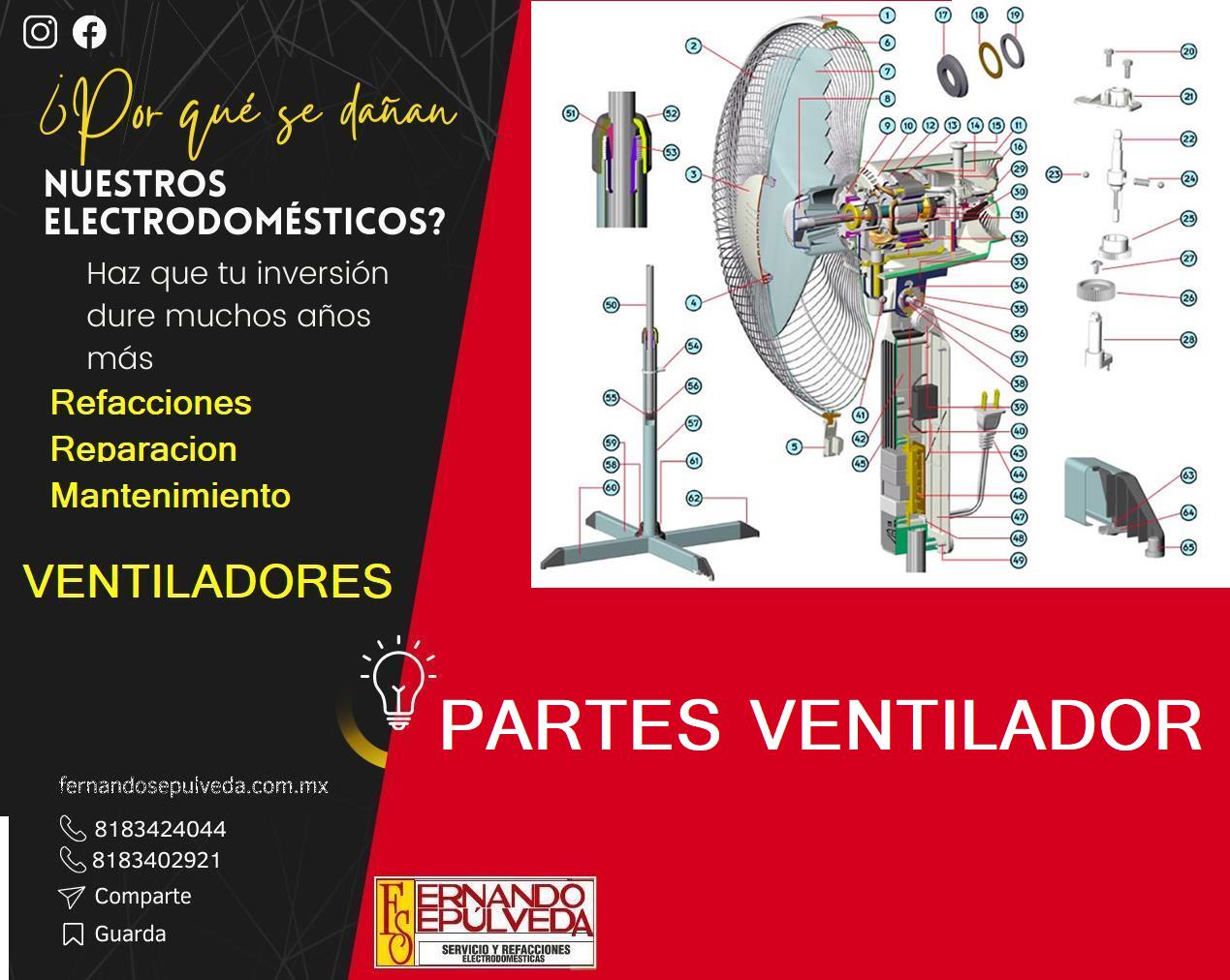 abanicos diagrama esqueleto.JPG