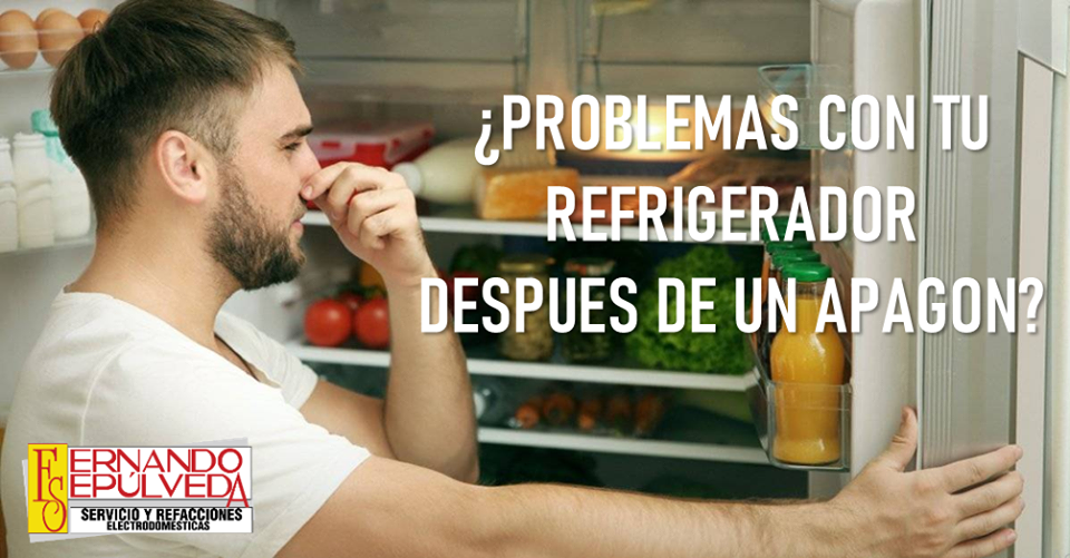 Problemas con tu refrigerador después de un apagón