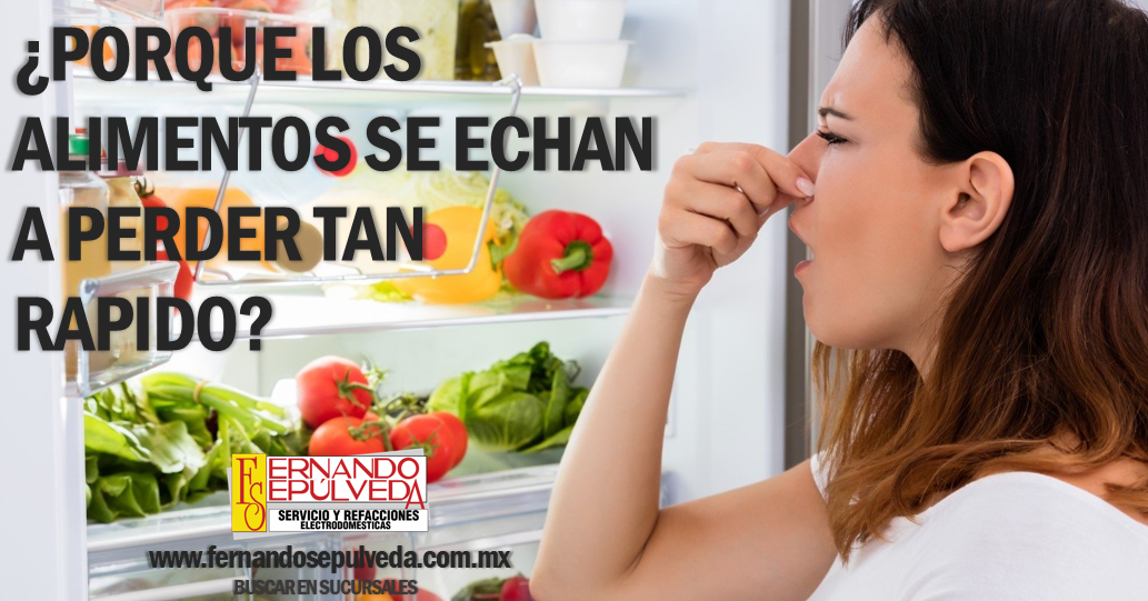 ¿Por que los alimentos se echan a perder tan rapido?