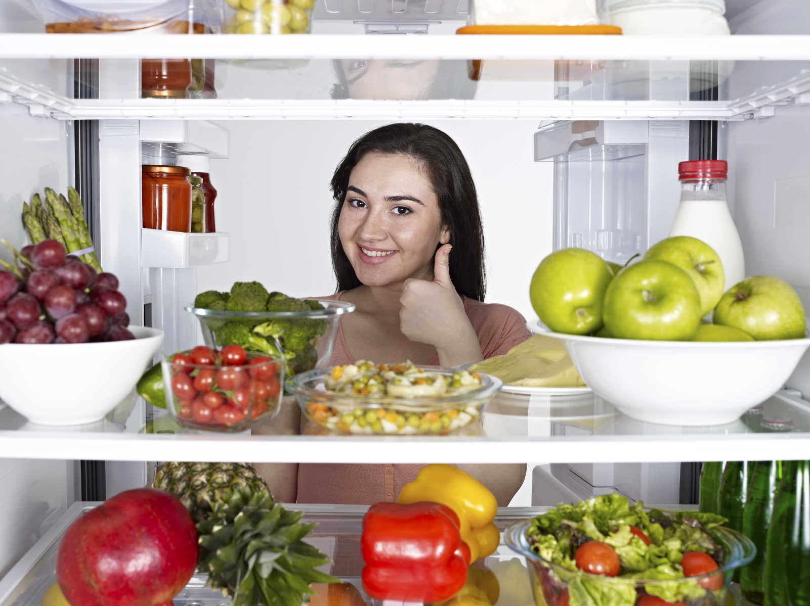 como elegir un refrigerador fernando sepulveda juarez 2