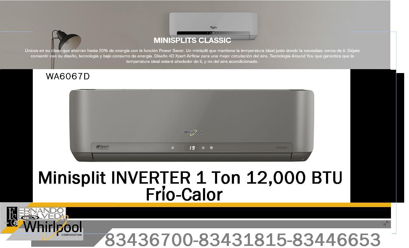 minis gris 1t.JPG